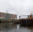 15252538_1686934081596534_2167085450259975726_o - KaliningradNews.Ru