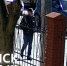 Полицейские Пионерского городского округа разыскивают подозреваемого в краже документов и крупной суммы денег из  автомобиля - УМВД Калининградской области