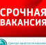 Новые срочные вакансии Центра занятости Калининградской области - Калининградская ГТРК