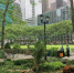15-В-Bryant-Park-проходят-бесплатные-мастер-классы,-концерты-и-другие-активности.jpg - Страна Калининград