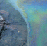 Фот: http://image.newsru.com/pict/id/large/1738200_20150507185646.gif - KaliningradNews.Ru