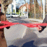 Высадили - FreeKaliningrad.Ru