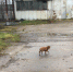 http://vestikaliningrad.cdnvideo.ru/wp-content/uploads/2017/11/z3BARElVDBc.jpg - Калининградская ГТРК