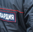 Угонщики «Мерседеса» пытались скрыться от росгвардейцев в лесу - ИА Русский Запад