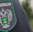 О некоторых итогах контрольно-надзорной деятельности отдела внутреннего ветеринарного надзора за апрель 2018 года - Россельхознадзор