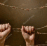 iФото: https://st.depositphotos.com/1182783/4382/i/950/depositphotos_43820119-stock-photo-hand-behind-barbed-wire.jpg - Вестник СЗФО