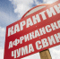 Россельхознадзор предупредил о новых вспышках африканской чумы свиней в 2019 году - Klops.Ru