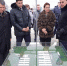 В Калининградской области начали строительство крупного животноводческого комплекса - Kaliningrad.Ru