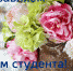Уважаемые студенты, преподаватели! - Калининградская ТПП