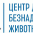 Проблемой бездомных животных в регионе занялось государственное учреждение - Правительство Калининградской области
