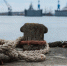 «Интерфакс»: Паромная линия Балтийск — Усть-Луга возобновила работу - Kaliningrad.Ru