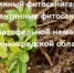 Об упразднении карантинной фитосанитарной зоны и отмене карантинного фитосанитарного режима по золотистой картофельной нематоде на территории Калининградской области - Россельхознадзор