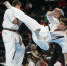 Фото: http://www.photoline.ru/critic/picpart/1295/1295252450.jpg - Kgzt.Ru