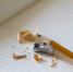 pencil-918449_1280 - Kgzt.Ru
