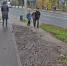 Фото: https://www.klgd.ru/upload/iblock/8a1/8a1d6e39420774871afac0f5c502fdfa.JPG - Янтарный Край