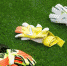 «Балтика» расторгла контракт с сыном Станислава Черчесова - Kaliningrad.Ru