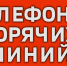 Открылась горячая линия по которой могут позвонить пожилые люди нуждающиеся в помощи - Калининградская ГТРК