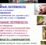 Калининградцы присоединились к первому фестивалю КСТАТИ в онлайн-формате - ИЦАЭ