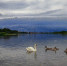 Предстоящая неделя будет не жаркой и с дождями - FreeKaliningrad.Ru