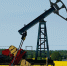 Крупные нефтяные компании России пожаловались Путину на повышение налогов - NewKaliningrad.Ru