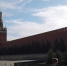 В Кремле назвали динамику распространения коронавируса «печальной» - ИА Русский Запад