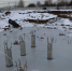 Фото: https://www.klgd.ru/upload/iblock/cef/cef6f84a3a725796b8decb0266642e24.JPG - KaliningradNews.Ru