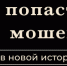 Сержант Иванова и липовые продавцы: четыре уловки мошенников, на которые попадаются калининградцы (видео) - Klops.Ru