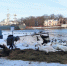 На берегу Балтийска обустроили лежаки для лебедей - FreeKaliningrad.Ru
