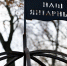 Уволен незаконно и снова уволен: как проходил суд по искам Заливатского и Алиханова - NewKaliningrad.Ru