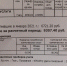 «Отвратительная история»: почему в Балтийске собирают подписи за отставку сити-менеджера - NewKaliningrad.Ru