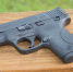 gun-3283014_1280 - Янтарный Край