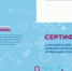 Ковидный сертификат с QR-кодом в Калининградской области действует шесть месяцев - ИА Балтик Плюс