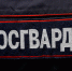 Росгвардейцы спасли ребенка, тонувшего в озере Макс Ашман парка - NewKaliningrad.Ru