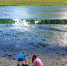 Власти Советска ждут, когда городское озеро наполнится водой - ИА Балтик Плюс