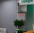 Фото: voxys.ru - НИА-Калининград