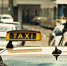 taxi-1515420_1280 - KaliningradToday.Ru