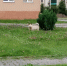 WhatsApp Image 2021 08 11 at 10.22.48 - Kaskad.TV