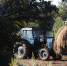 Калининградские фермеры смогут получить гранты на развитие агротуризма - Новости Калининграда | Фото: Александр Подгорчук / Архив «Клопс» - Klops.Ru