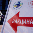 В МВД рассказали об уголовных делах в Калининграде из-за поддельных сертификатов о вакцинации - NewKaliningrad.Ru