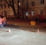 В Калининграде «Лексус» сбил 16-летнего мотоциклиста (фото) - NewKaliningrad.Ru