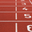 athletic-field-1867053_960_720 - KaliningradNews.Ru