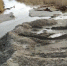 Под Зеленоградском из-за сильных ветров занесло песком русло реки Алейки - Калининград.Ru