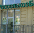 Страховая группа АО «Россельхозбанк» провела исследование обращений клиентов к сервису телемедицины - ИА Русский Запад