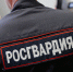 В Пионерском задержали числившегося в федеральном розыске жителя Йошкар-Олы - NewKaliningrad.Ru