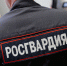 Двое калининградцев устроили дебош в букмекерской конторе из-за проигрыша - NewKaliningrad.Ru