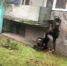 2022 03 23 17 27 18 - Kaskad.TV
