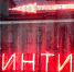 В Калининграде студент перевёл 28 тысяч рублей фейковой проститутке - ИА Русский Запад