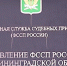 Фото из архива НИА-Калининград - НИА-Калининград