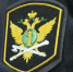 Калининградец погасил долг по алиментам в 315 тысяч, не сумев продать авто из-за ограничений - Калининградская ГТРК
