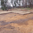 Фото: archaeolog.ru / Общий вид работ на грунтовом могильнике Ливенское - НИА-Калининград